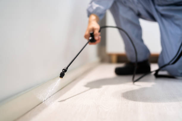 Licensed Rodent Control service in Harmon County County, OK - Nex Pest Control